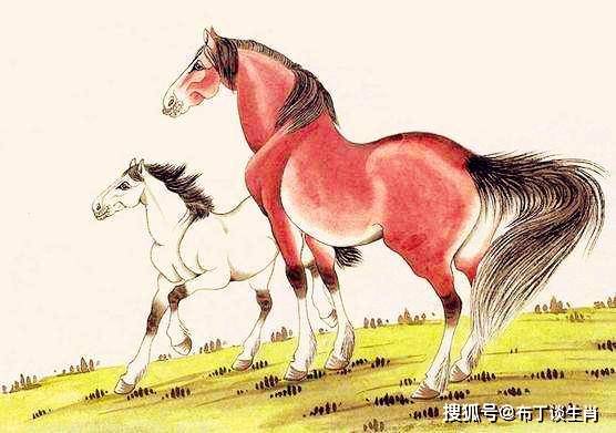 今期特码大林木 生肖头上有红波打一生肖请全面2释义、解释与落实、统计解答解释落实